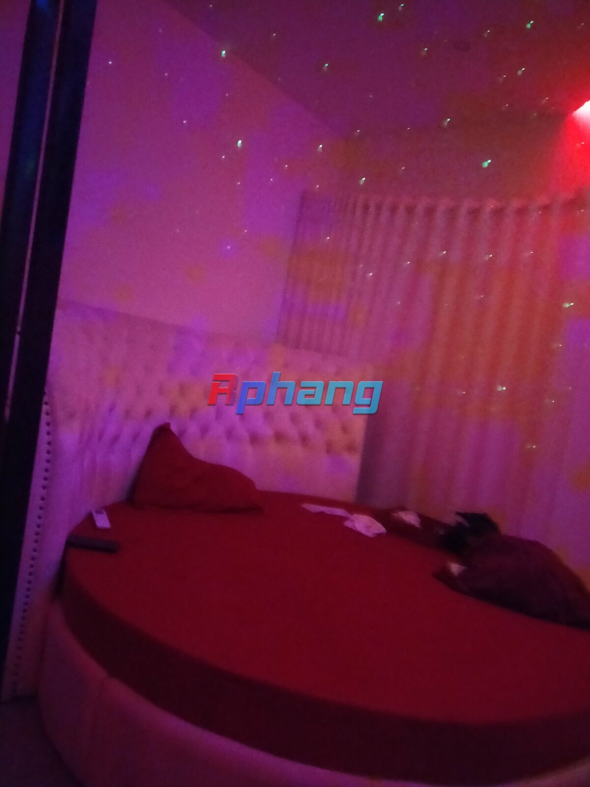 IMG20250127144723.jpg