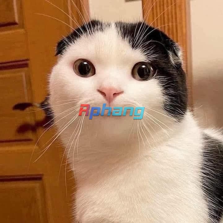1000002229.jpg
