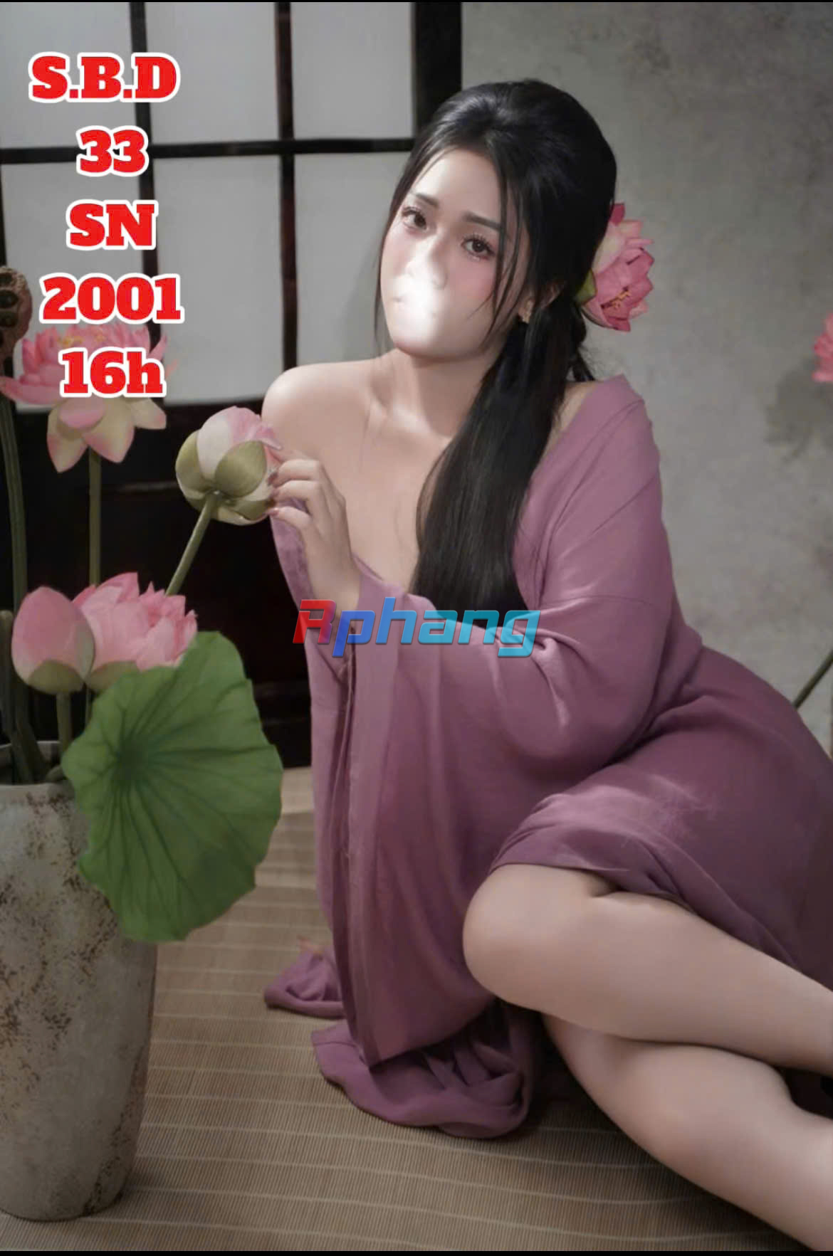33.3.jpg