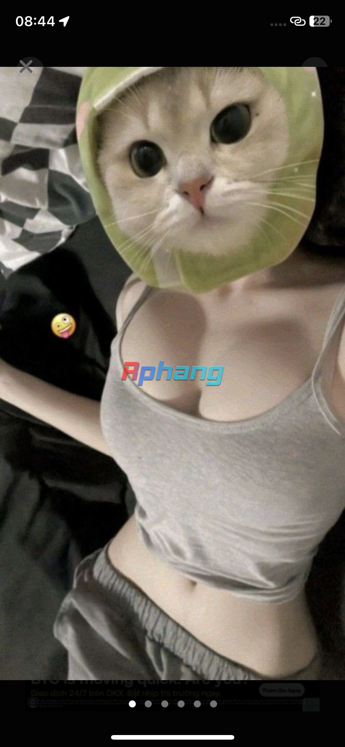 IMG_0031.png