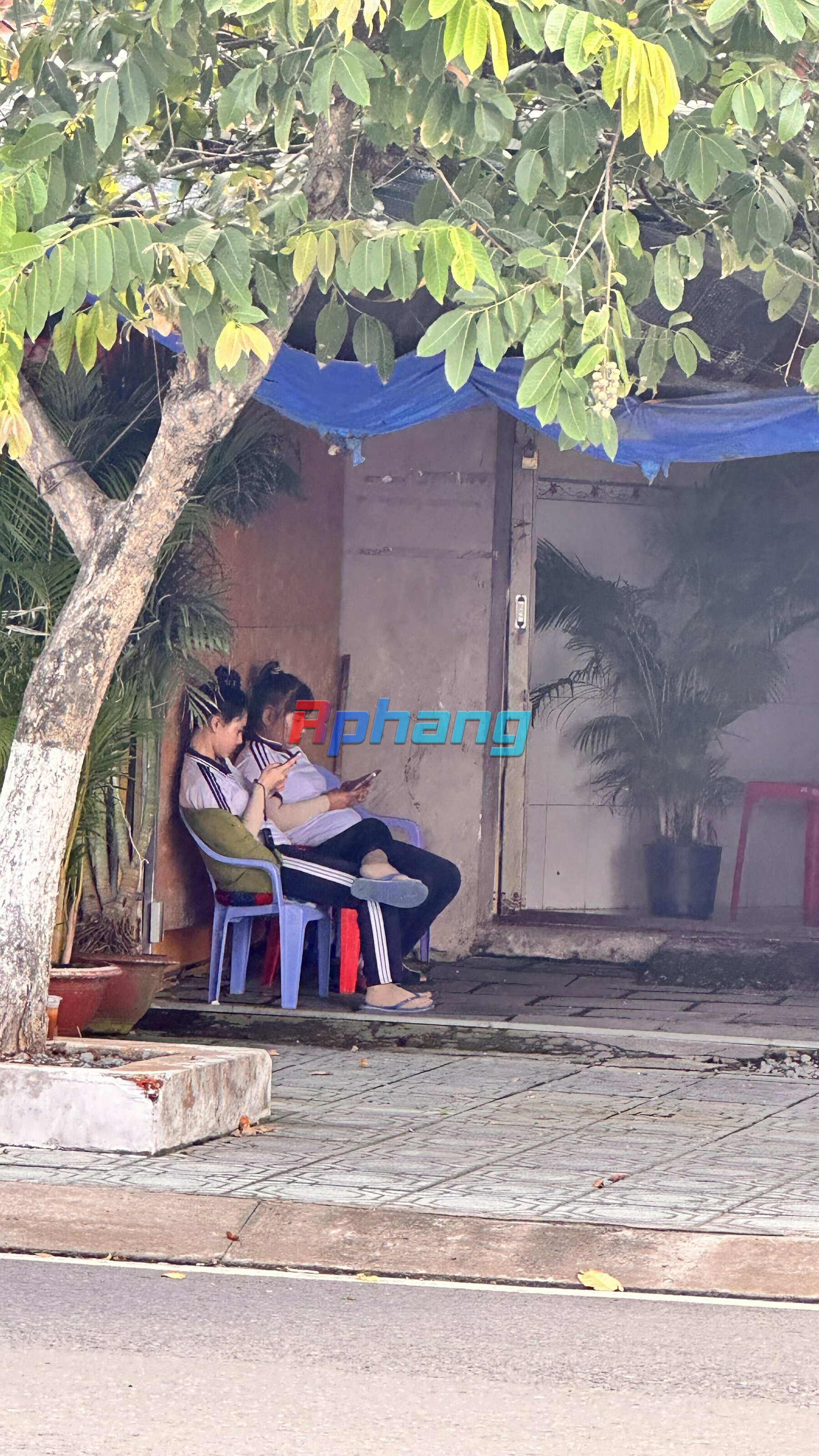 IMG_7582.jpeg