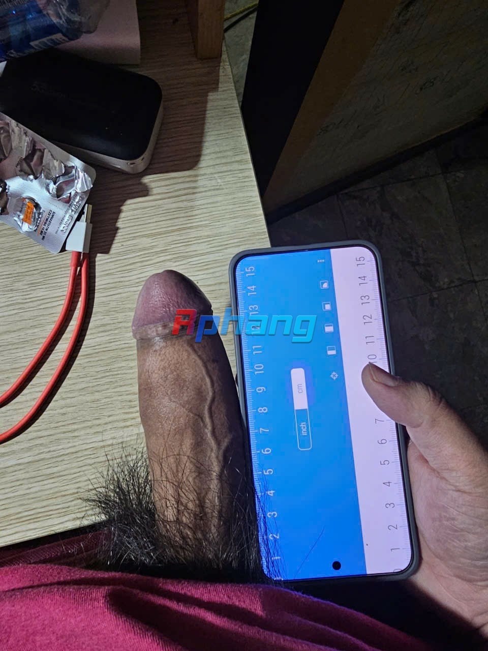 4610.jpg