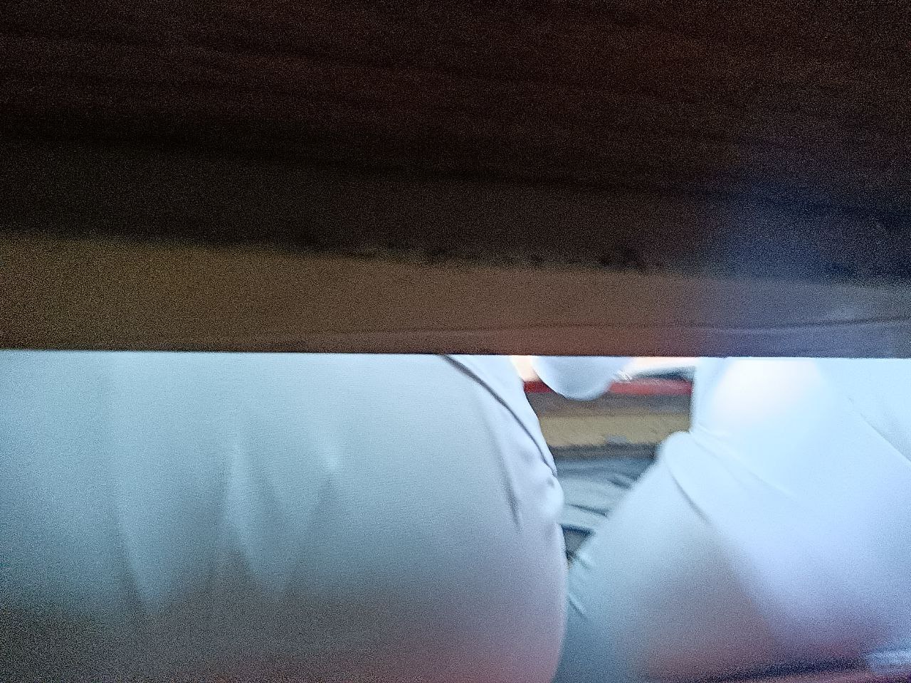1000038957.jpg