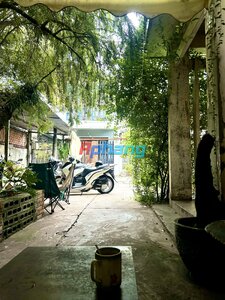 IMG_8152.jpeg
