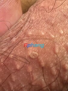 IMG_3769.jpeg