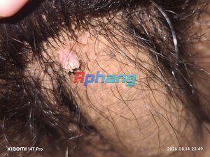 IMG_3767.jpeg