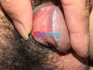 IMG_3763.jpeg
