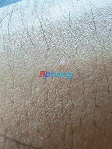 IMG_3766.jpeg