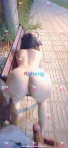 IMG_7800.jpeg