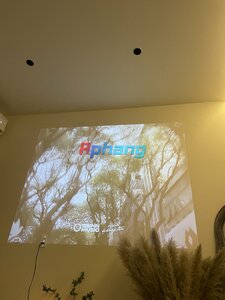 IMG_0452.jpeg