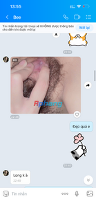 IMG_4734.png