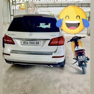 dicaibang