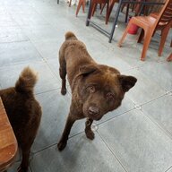 thainguyen95